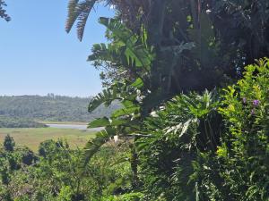 MaeStorm GardensAfrican apartement