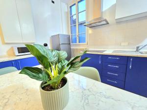 Russomanno Apartments 6