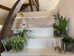 The Castle Loft - Pascals Angels