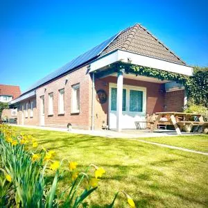 Rooi Bij de Knoptoren B&B - De Bus