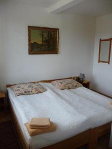 Small Double Room room in Pałac Wojciechy