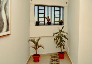 Elegant 2BR Apartment in Nanyuki