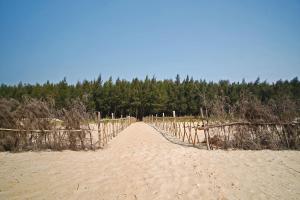 Bubbles of luxury Dublagadi Beach
