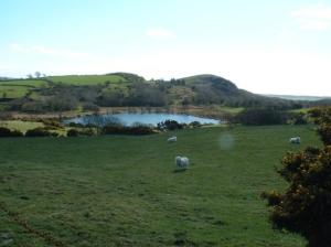 Tan-y-Graig at Snowdonia