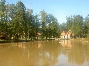 Gîte de l'Epinette - Montrieux-en-Sologne