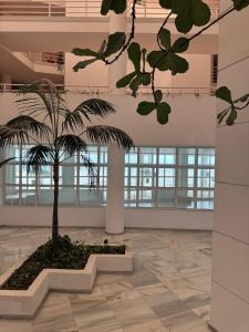 Acogedor al lado de el mar