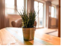 Friedrich-Engels-Straße Friedrich-Engels-Straße 19 Wohnung 02