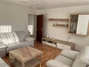 Zentrumsnahe helle Wohnung - 谢尔