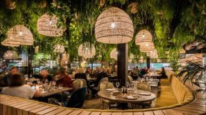 SERINAMAR Dama de Noche