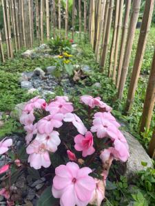 Glamping Resort Jonico Finca