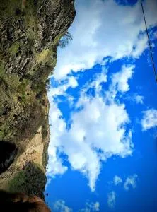 Yamuna pag pinewood hotel and restaurant - Bhatwāri