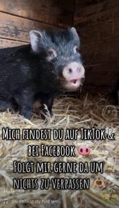 Ferienwohnung „Am Gnaucks Hutberg“