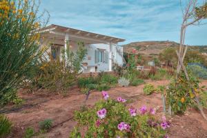 Villa Amalia at Campos Antiparos
