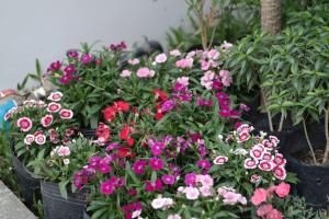 Mowin Boutique Hotel & Residence