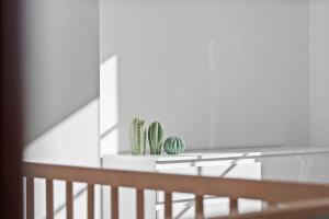 Casa Yucca - Porto Santo Island