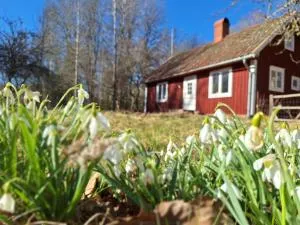 Villa Apple Garden - Väckelsång