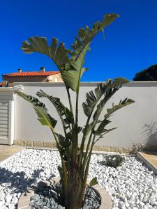 Villas Maison tout confort au calme ideal famille 4ESTGNT7 : photos des chambres