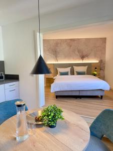 Superior Studio room in Hotel Blauer Wolf