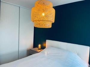 Appartements charbonnier 6 personnes avec terrasse et parking : photos des chambres