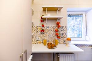 Charming 1BDR Apt, Tkalčićeva Street