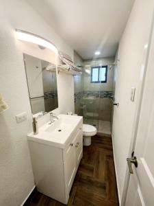 Elegante Loft Pitagoras 1