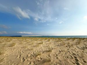 Spacieuse villa au Cap Ferret, proche Plage des Américains, 5 chambres, jardin, wifi, 10 pers - FR-1-736-26