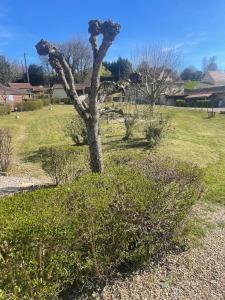 Gîte de la Bastide de Domme