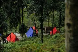 Gangtok View Camping - Samdong