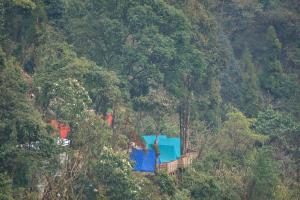 Gangtok View Camping
