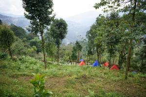 Gangtok View Camping