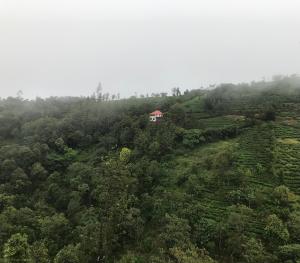 Vagamon Pvt Pool Secret Garden