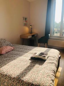 Appartements Neufchatel superbe appartement 3 chambres : photos des chambres