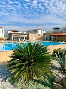 Boho Beach Apartment - Akanthou