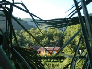 Campings Camping 4 etoiles - Piscine - ccbadea : photos des chambres