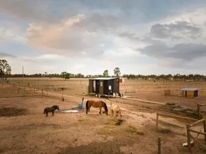 Tiny Rescue Retreat by Tiny Away - Corop