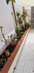 Con i piedi nellacqua