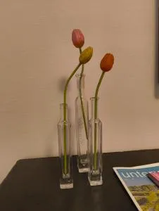 PInahaus - Gräfrath