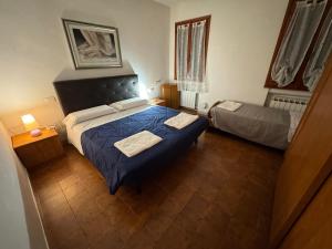 The Wolf House Greysclass