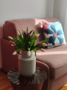 Fluère - Via Riva Reno