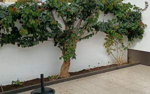 Casa do Bairro - O seu refúgio