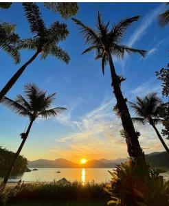 paraiso tropical