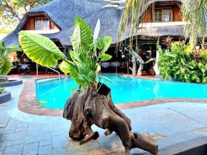 Dei Gratia Guest House