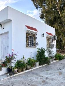 Maison Tunisienne avec Patio