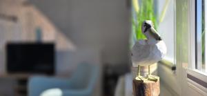 Ferienwohnung S40 "Sonnendeck"