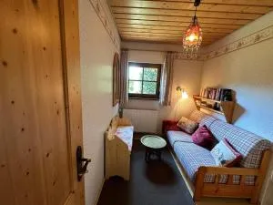 Kleines Ferienhaus mit Garten absolut ruhig Hochschwarzwald - Wellendingen