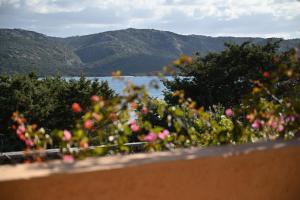 Porto Mannu - Room with beautiful Sea view