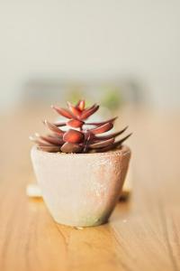 Main Station Nook Apartments