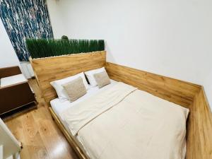 Nest Vibe Slovákova