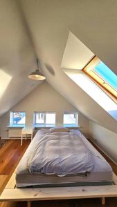 Spacious Nordic Home in Rvk