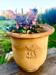 Maisons de vacances Maison entiere Uzes 2 chambres : photos des chambres